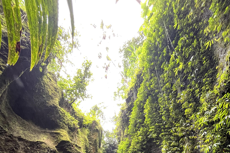 Ubud: Dolda pärlor och vattenfall Privat rundturHeldagsutflykt med lunch