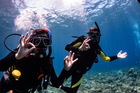 El Nido: Deep Blue Dive Seafari Experience