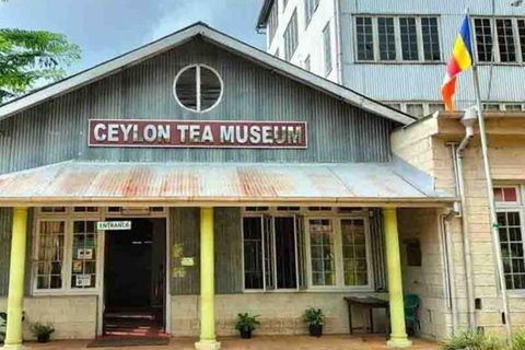 Kandy: Hidden Highlands Nature Walk