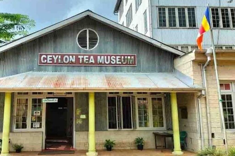 Kandy: Hidden Highlands Nature Walk