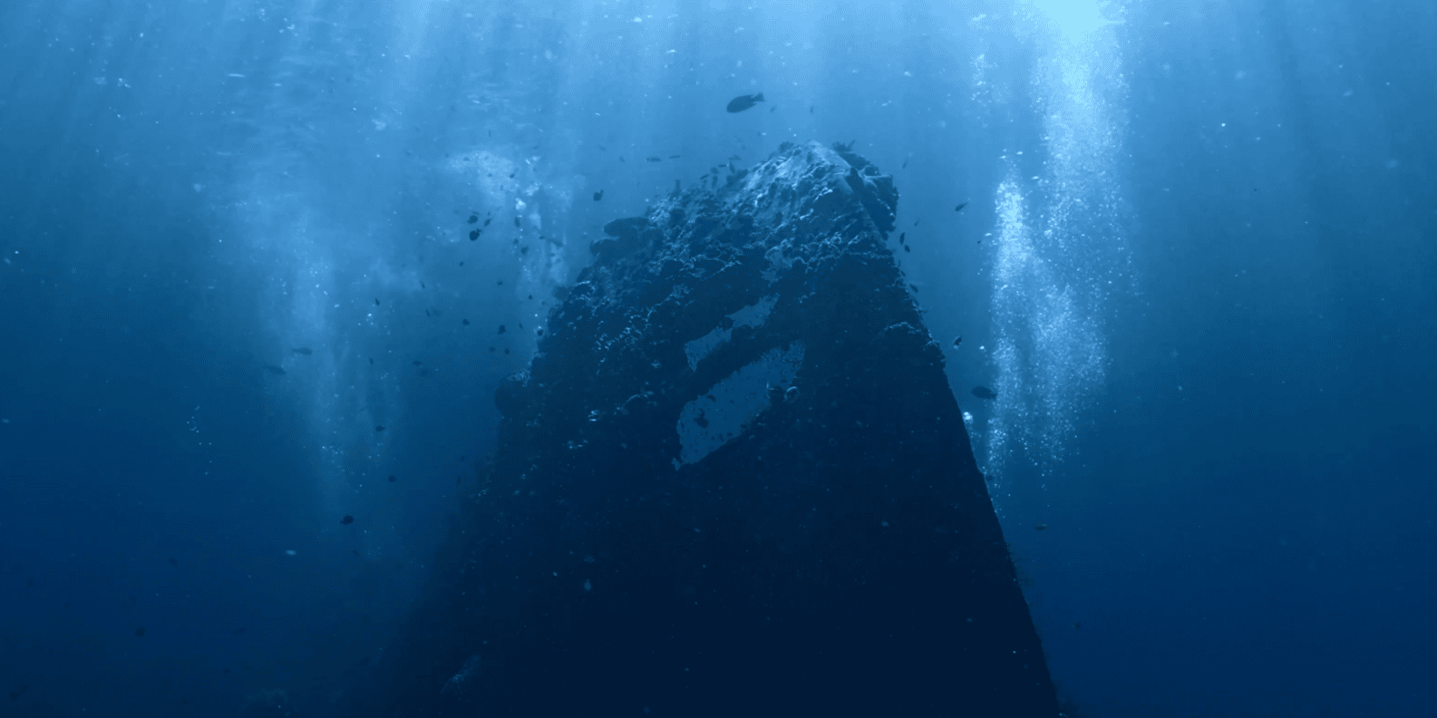 Bali snorkeling tour — underwater marine life and coral reefs — image 1