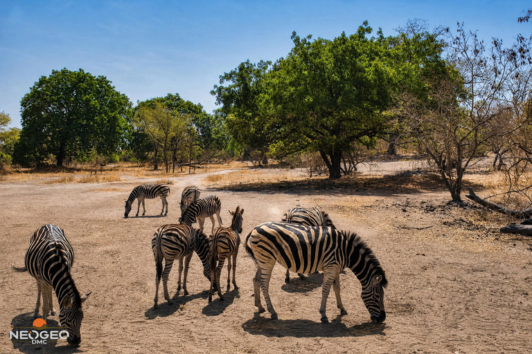 Excursion to Fathala Safari Park from Banjul Fathala Safari Park Excursion from Banjul