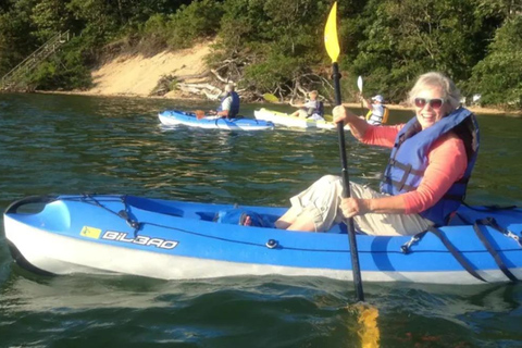 Oak Bluffs: Kayak Tour with Wildlife Single Kayak