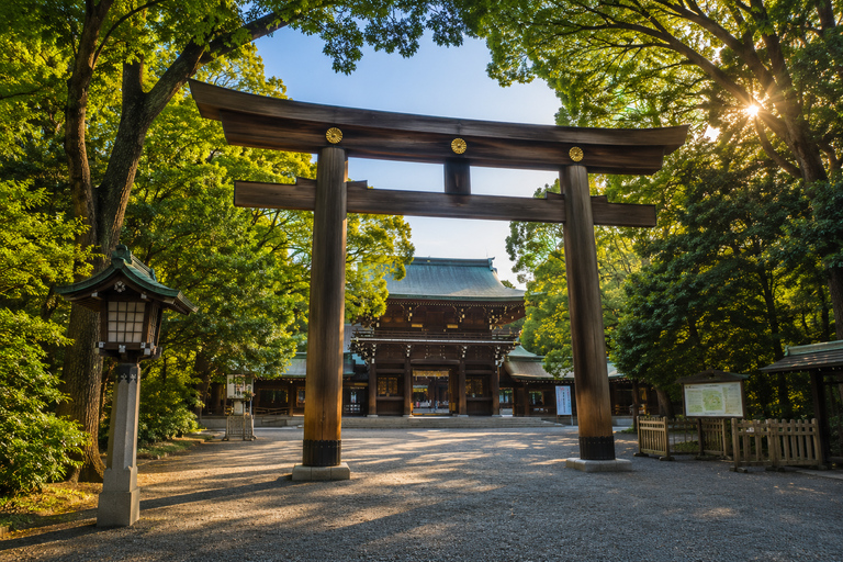 Tokyo Private Customizable City Highlights Guided Tour