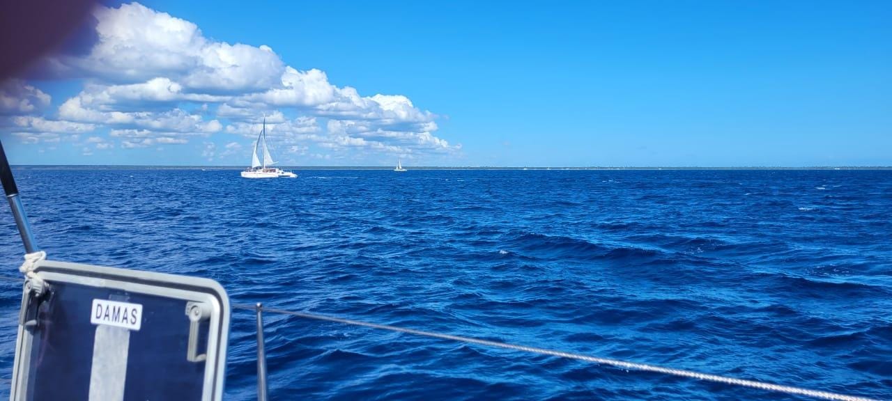 Isla Saona Tagestour von Santo Domingo mit Mittagessen