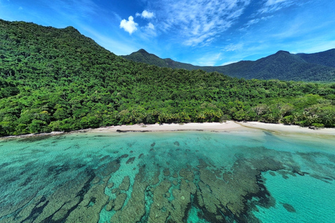 Port Douglas: Cape Tribulation Private Rainforest Tour