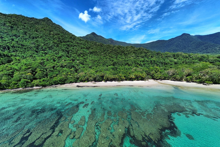 Port Douglas: Cape Tribulation Private Rainforest Tour