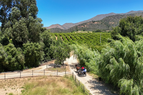 Curacaví Valley: Private Wine Tour of Viña Lopez Pangue and El Cuadro Curacaví Valley: Private Wine Route Tour - Viña Lopez Pangue and El Cuadro