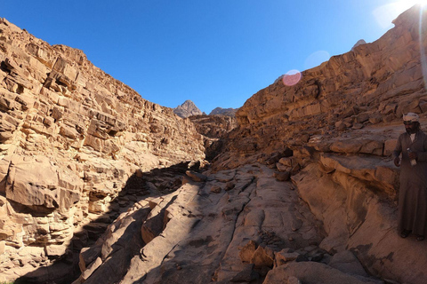 Hurghada Qattar Mountain Adventure: 4WD & Stargazing Hurghada: Gattar Mountain,Off-Road & lunch