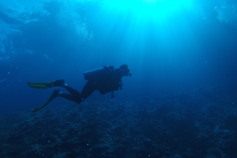 Scuba Diving at Dusk in Mirissa