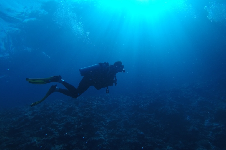 Plongée sous-marine au crépuscule à Mirissa