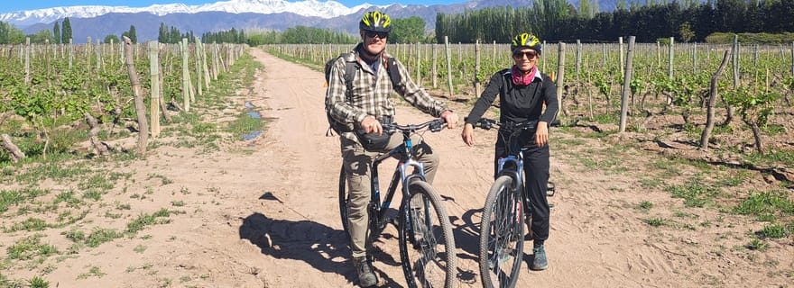 Excursion à vélo pour le vin et le chocolat : promenade, dégustation, déjeuner, vignobles.