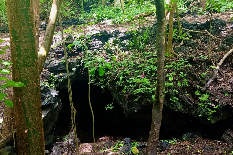 El Salvador: San Diego Volcano Crater Guided Hike