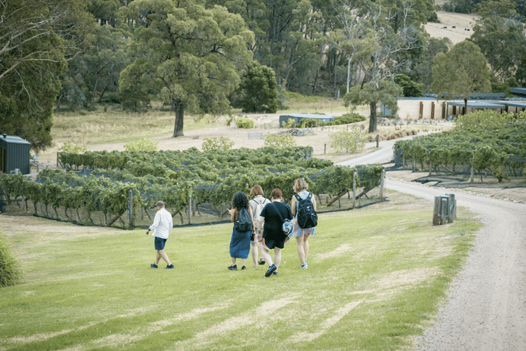 Melbourne: Mornington Peninsula Wine Tour with Lunch Melbourne Departure