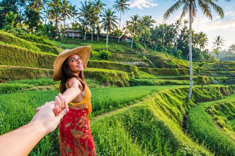 Ubud: Full-Day 3 Waterfalls & Rice Walk with Private Driver