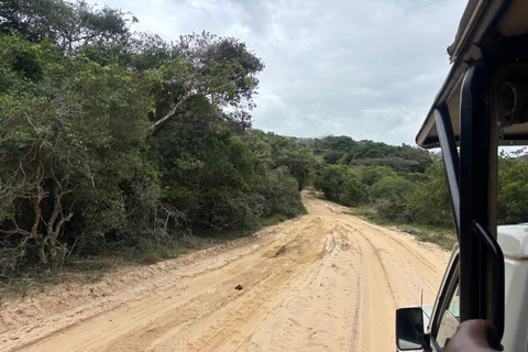 Maputo National Reserve Park Safari Excursion