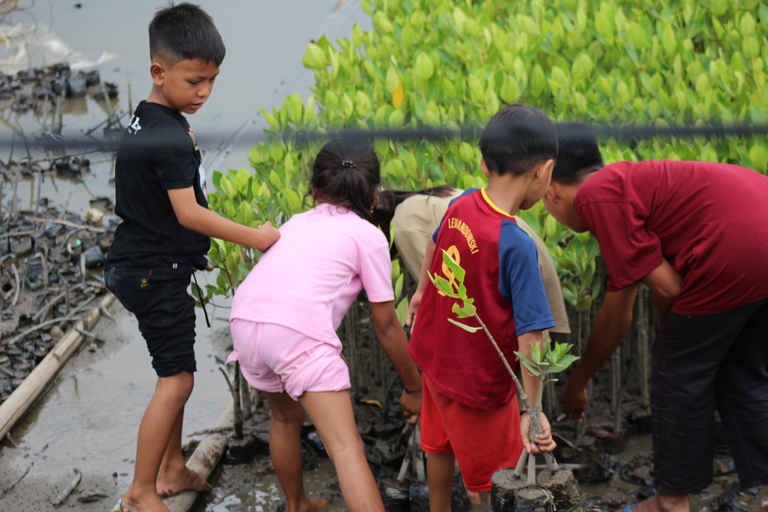 Bagek Kembar: Mangrove & Stingless Beekeeping Experience