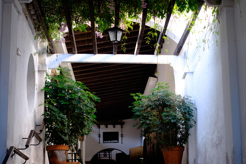 Cádiz: Bodegas Barbadillo Tour & Wine Tasting Cádiz: Bodegas Barbadillo Tour & Wine Tasting in Spanish