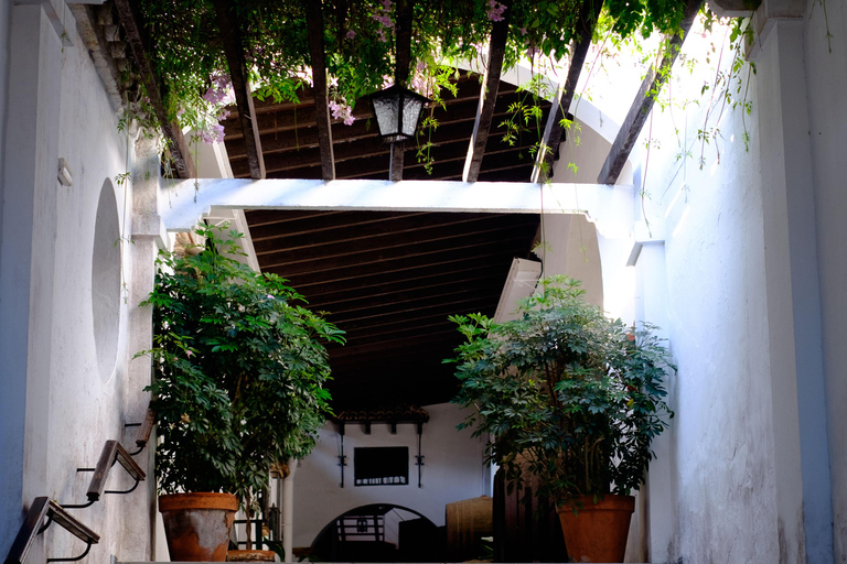 Cádiz: Bodegas Barbadillo Tour & Wine Tasting Cádiz: Bodegas Barbadillo Tour & Wine Tasting in Spanish