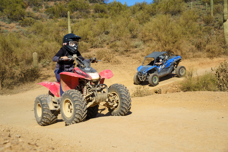 Phoenix: Alquiler de ATV/UTV en el Desierto de SonoraUTV de 3 plazas