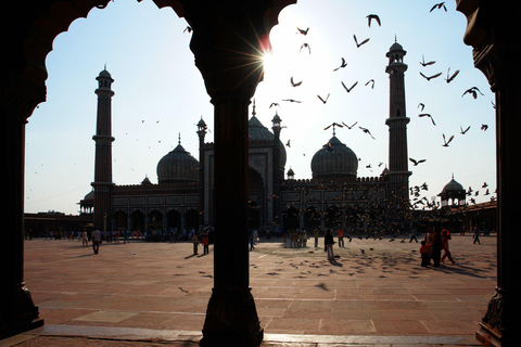 Delhi: Old Delhi, Akshardham Temple, and Light Show Tour English Language Guide