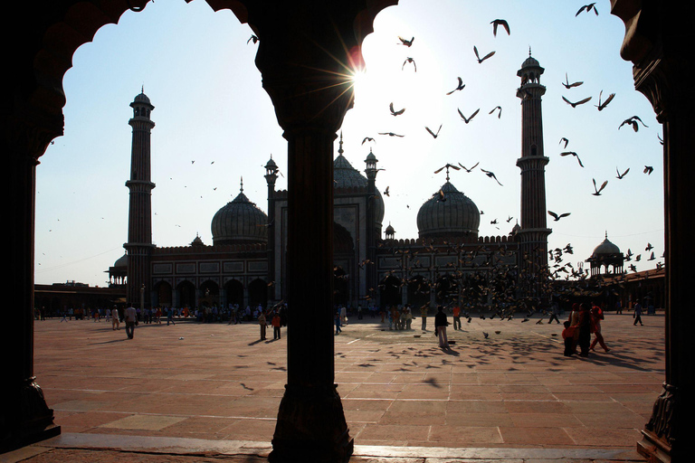 Delhi: Old Delhi, Akshardham Temple, and Light Show Tour English Language Guide