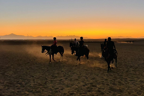 الغردقة: جولة ركوب الخيل في الصحراء والبحر مع خيار السباحةجولة لمدة ساعتين لركوب الخيل بدون السباح