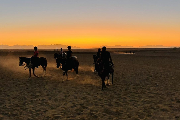الغردقة: جولة ركوب الخيل في الصحراء والبحر مع خيار السباحةجولة لمدة ساعتين لركوب الخيل بدون السباح