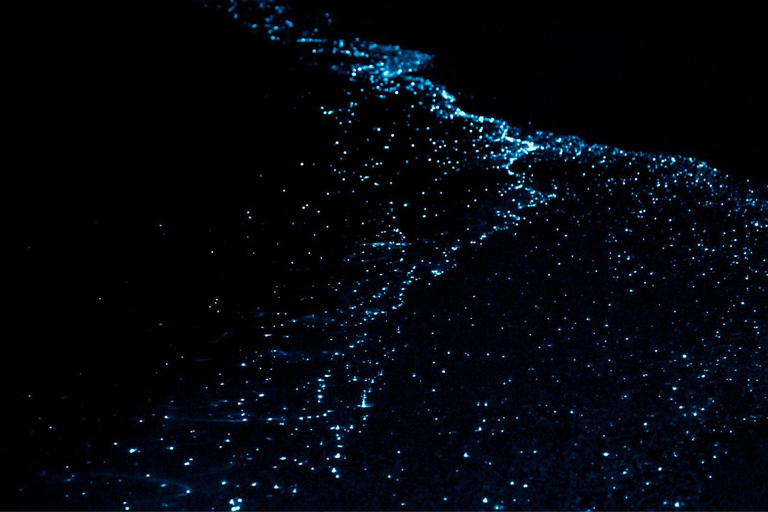 Phuket: James Bond Sunset Dinner & Bioluminescent Plankton