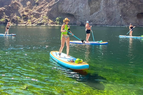 Plage de Willow : Location de paddle board
