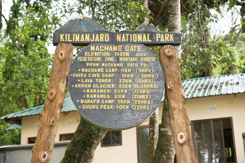 Kilimanjaro: 6-Day Machame Route Tour with Hotel & Transfer