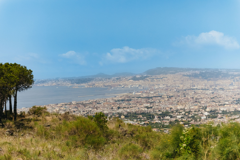 Vanuit Rome: Dagtrip Pompeii en de Vesuviusberg met lunchPompeii & Vesuvius met kegelwandeling