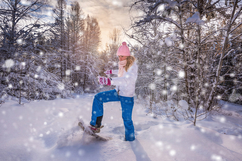 Abisko: Sneeuwschoenwandeling in de wildernis