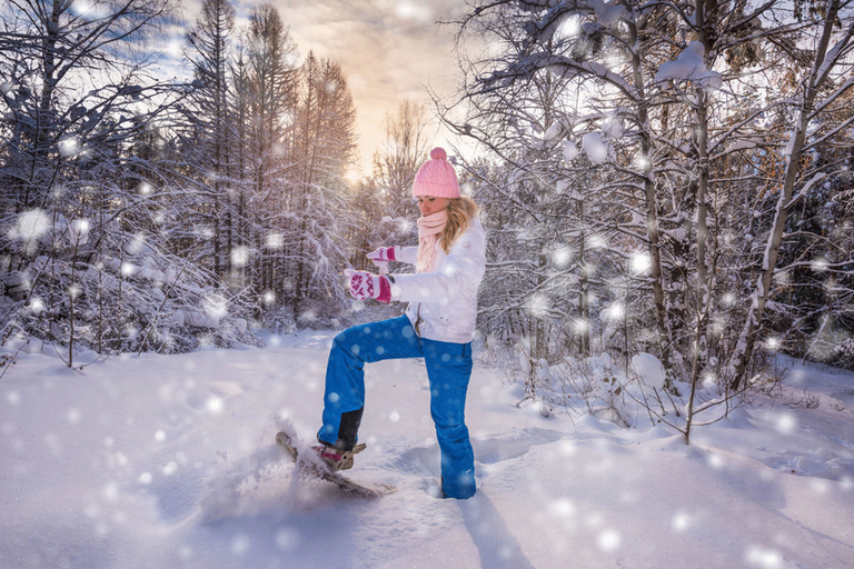 Abisko: Snöskovandring i vildmark