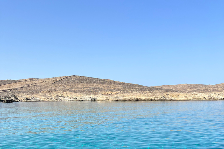 Mykonos: Delos en Rhenia Island Cruise met zwemmen en Griekse maaltijd