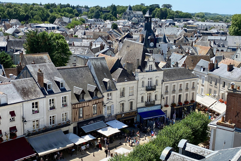 2-daagse privé Mont Saint-Michel, Normandië, 3 kastelen in de LoirePrivé