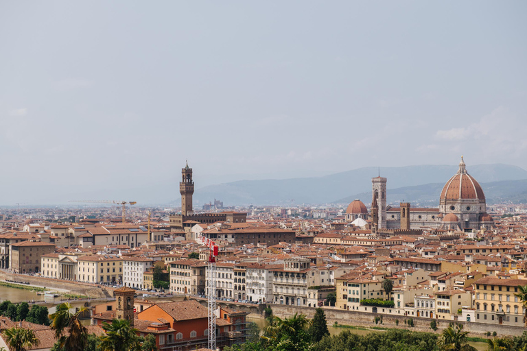 Shore Excursion to Florence from Livorno Transfer with City Center Walking Tour