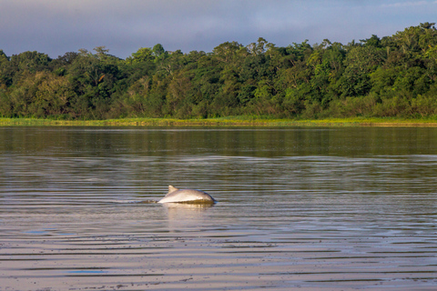 Experiencia completa en la selva