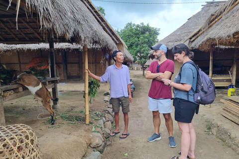 Lombok: Charter av privat bil/van med förare och guide