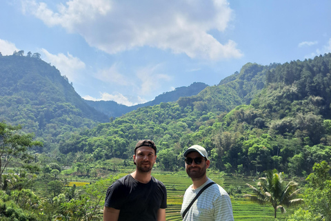 Desde Yogyakarta: De las Terrazas de Arroz de Selogriyo a la Cascada Oculta