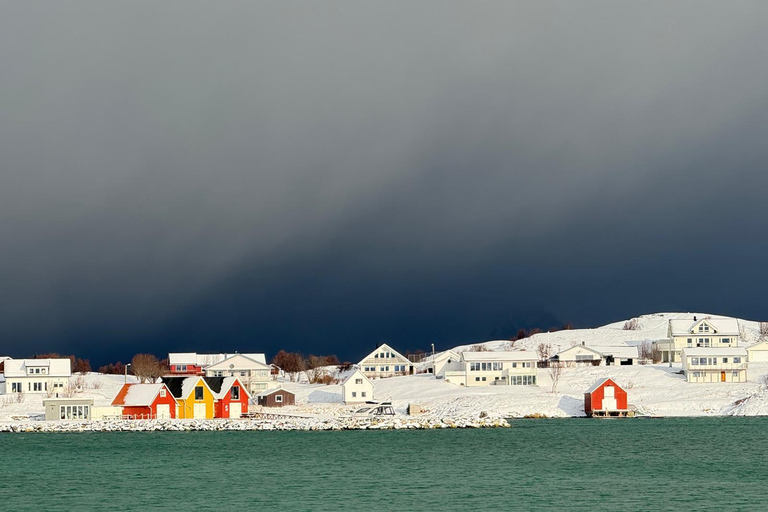 Fjord photo tour to Sommaroy with a 1-hour break