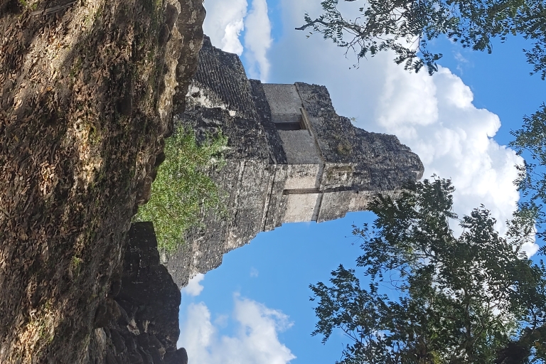 Depuis Flores : Excursion exclusive à Tikal au coucher du soleilTour du coucher du soleil