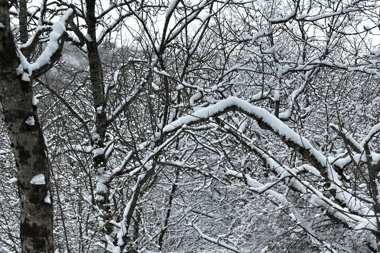 Tbilisi: Kojori Fortress Half-Day Tour