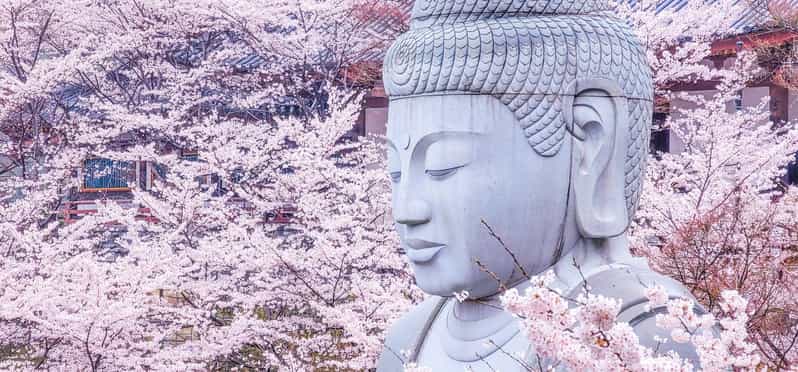 大阪出发的樱花佛像与吉野山旅游
