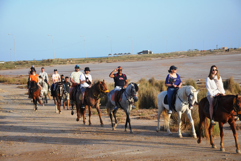 DJERBA: CAMEL AND HORSE (2H30).