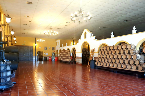 Bodegas Quitapenas: Guided Tour + Wine Tasting Quitapenas Winery: Guided Visit + Wine & Ham