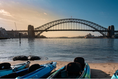 جولة قوارب الكاياك عند شروق الشمس في ميناء سيدني