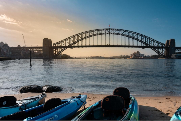 جولة قوارب الكاياك عند شروق الشمس في ميناء سيدني