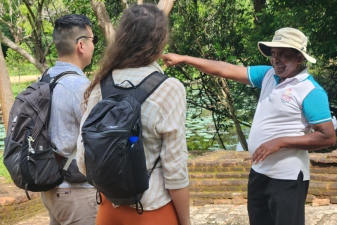 4 Tage Tour durch Sigiriya, Kandy und Ella mit Udawalawe Safari4 Tage Sightseeingtour durch mehrere Städte