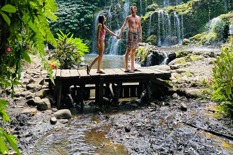 Bali: Waterfall in the forest & twin lake view tour
